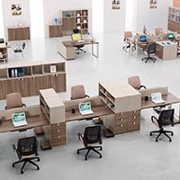 選擇朗哥，我們很放心